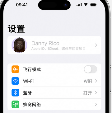 双鸭山appleID维修服务iPhone设置中Apple ID显示为灰色无法使用 