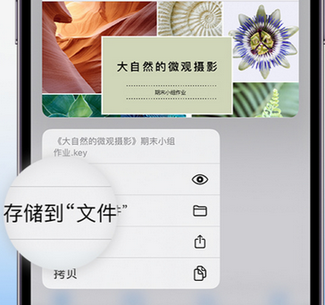 双鸭山apple维修中心分享iPhone文件应用中存储和找到下载文件