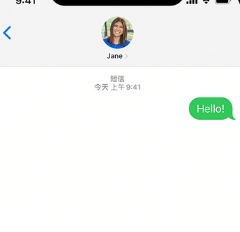 双鸭山apple维修iPhone上无法正常发送iMessage信息