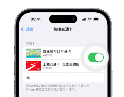 双鸭山apple维修点分享iPhone上更换Apple Pay快捷交通卡手绘卡面 