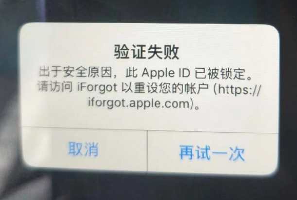 双鸭山iPhone维修分享iPhone上正常登录或使用AppleID怎么办 