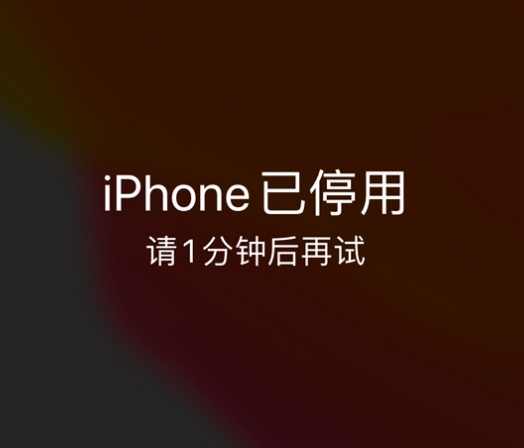 双鸭山苹果手机维修分享:iPhone 显示“不可用”或“已停用”怎么办？还能保留数据吗？ 