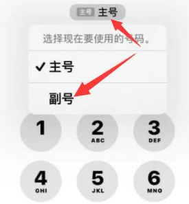 双鸭山苹果14维修店分享iPhone 14 Pro Max使用副卡打电话的方法 