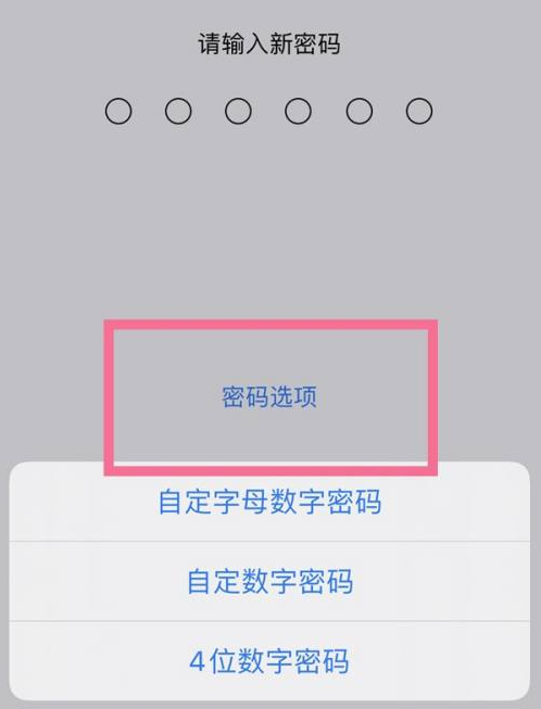 双鸭山苹果14维修分享iPhone 14plus设置密码的方法 