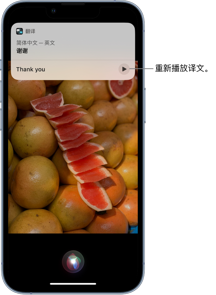 双鸭山苹果14维修分享 iPhone 14 机型中使用 Siri：了解 Siri 能帮你做什么 