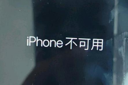 双鸭山苹果服务网点分享锁屏界面显示“iPhone 不可用”如何解决 