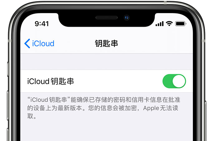 双鸭山苹果手机维修分享在 iPhone 上开启 iCloud 钥匙串之后会储存哪些信息 