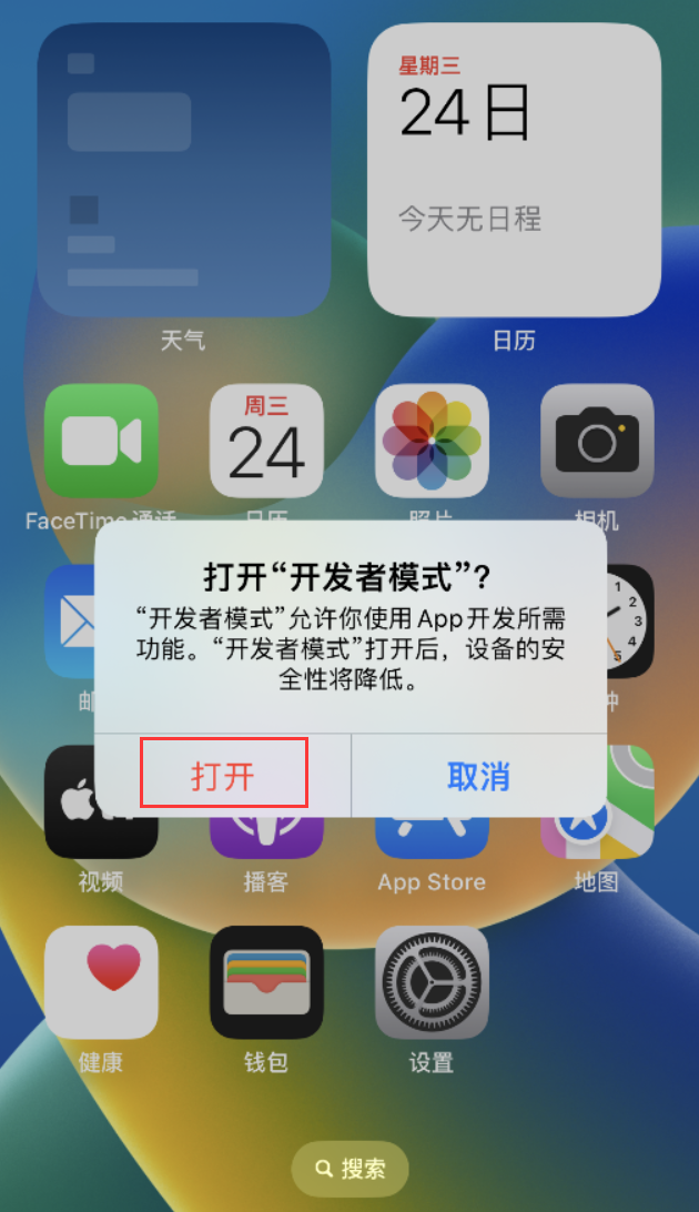 双鸭山苹果手机维修分享如何打开开发者模式 