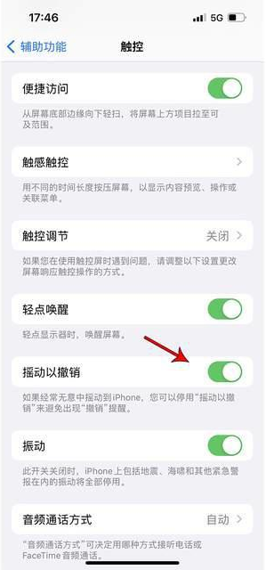 双鸭山苹果手机维修分享iPhone手机如何设置摇一摇删除文字 
