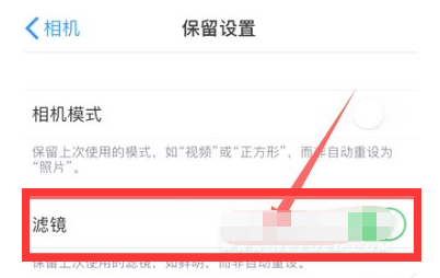 双鸭山苹果13维修分享iPhone13拍照有绿点是怎么回事 