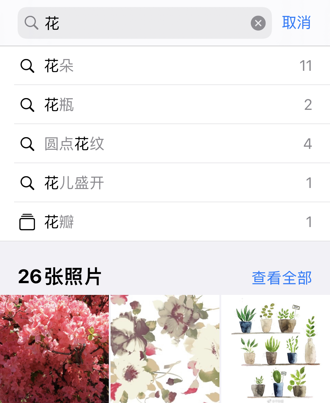 双鸭山苹果手机维修分享iPhone 小技巧 