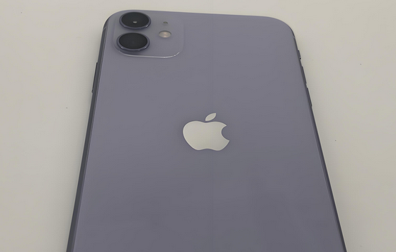 双鸭山苹果11系统维修分享iPhone11手机系统崩溃无法开机如何解决 