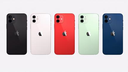 双鸭山苹果维修点分享iPhone 12黑屏隐蔽故障解读 